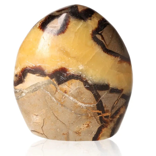 Polished Septarian Free Form stone displaying unique patterns and earthy tones, often called the "Dragon Stone" for its symbolic power.