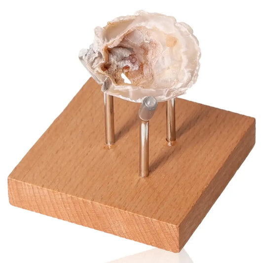 Mini Agate Geode on wooden stand, showcasing natural beauty and serene energy for home decor.