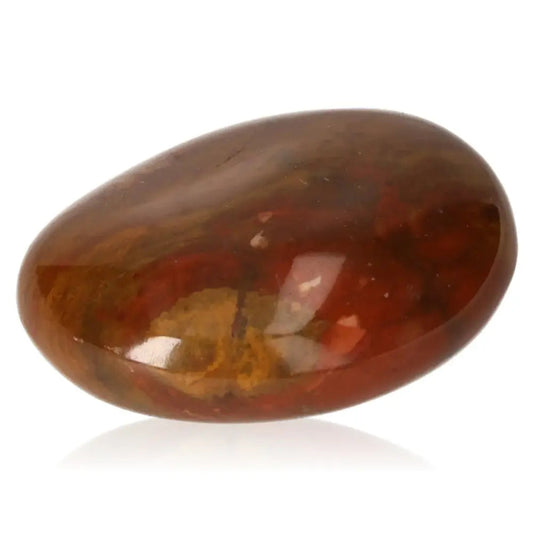 Smooth tumbled petrified wood stone with rich earthy colors symbolizing grounding and ancient wisdom.