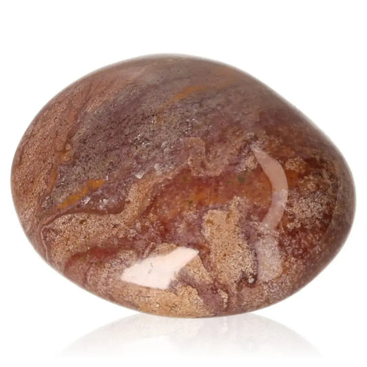 Tumbled petrified wood stone in rich earthy colors, symbolizes grounding and stability, activates Root Chakra for personal growth.