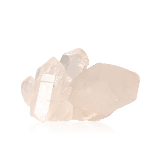 orbitvu|type:ORBITVU 360|https://orbitvu.co/share/Hfi7DwxpCkSgbJwd8WsAiW/6317313/360/iframe