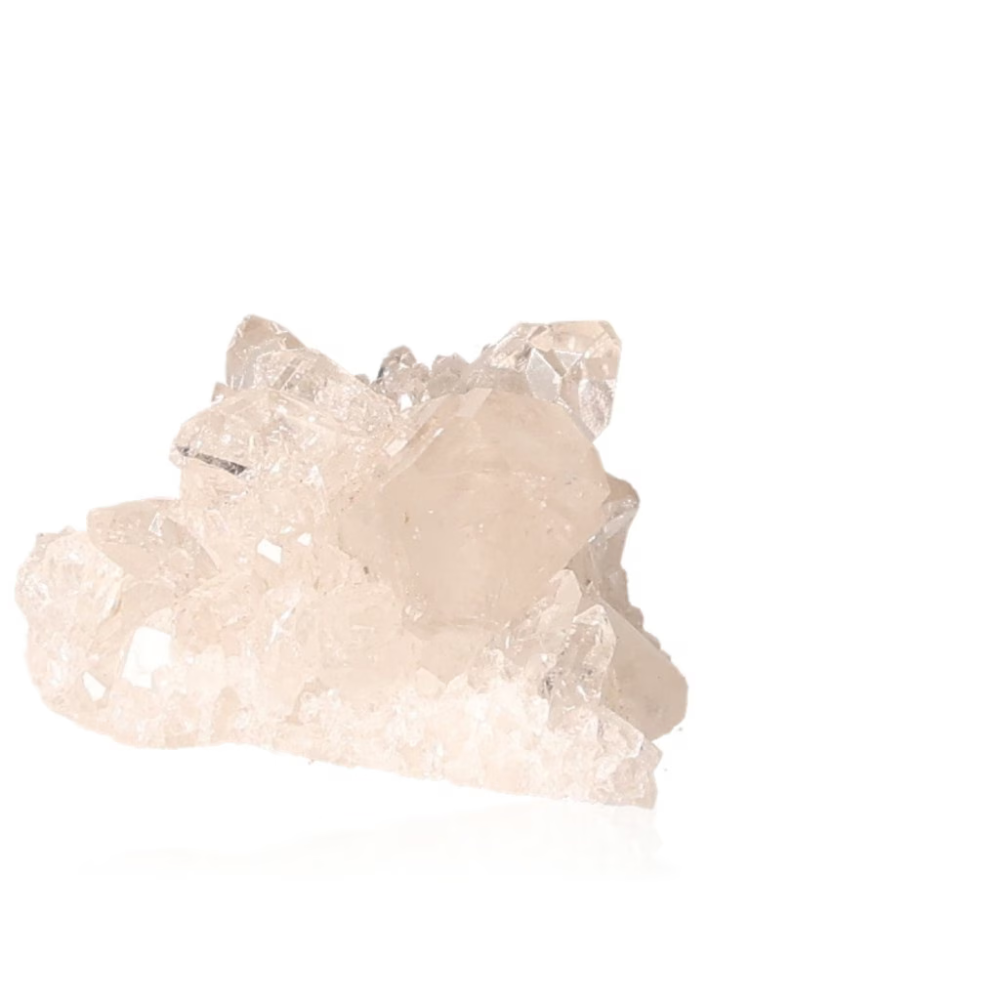 orbitvu|type:ORBITVU 360|https://orbitvu.co/share/g36HNxDqiVy28pMxqSyaTE/6317317/360/iframe