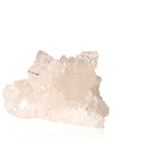 orbitvu|type:ORBITVU 360|https://orbitvu.co/share/g36HNxDqiVy28pMxqSyaTE/6317317/360/iframe