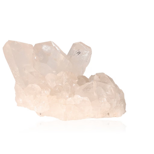 orbitvu|type:ORBITVU 360|https://orbitvu.co/share/9LLY26MLpd8BtbXyWZ4gya/6317304/360/iframe