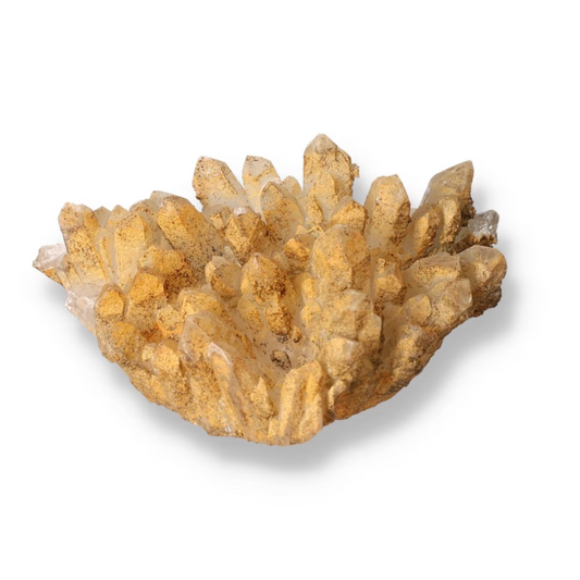 orbitvu|type:ORBITVU 360|https://orbitvu.co/share/P8yNRsbPTBJGG9r3MEK5Gj/6297387/360/iframe