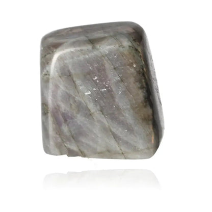 Polished Labradorite Cut Base by Sylvia Crystals showcasing natural iridescence, perfect for elegance and energy enhancement.