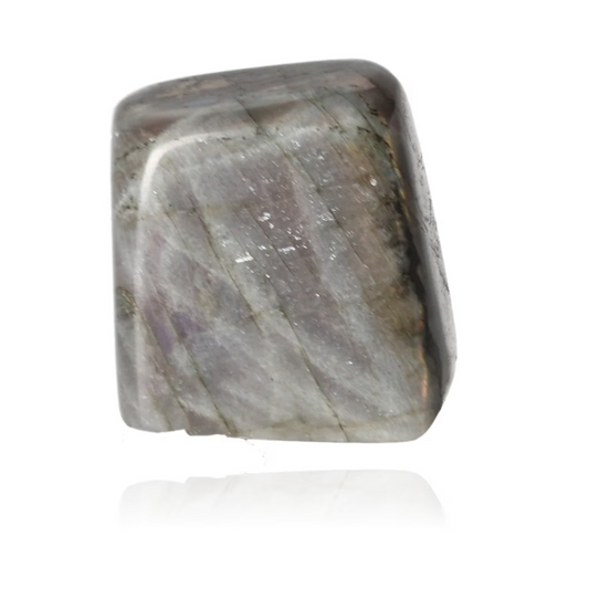 orbitvu|type:ORBITVU 360|https://orbitvu.co/share/sVBjNxYfxEzowdosR4H3qV/6325420/360/iframe