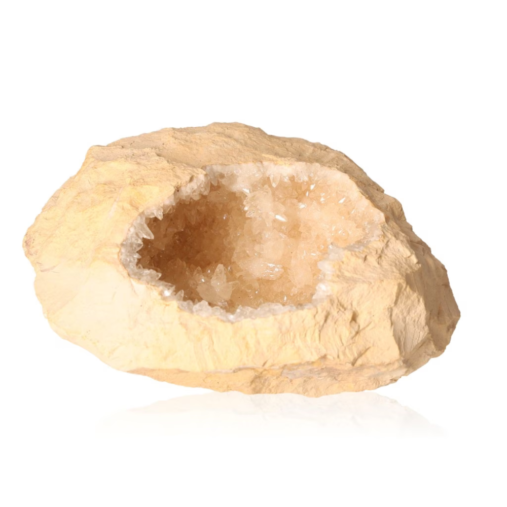 orbitvu|type:ORBITVU 360|https://orbitvu.co/share/ueZciZxw8HtaSKvCFsHgHH/6365177/360/iframe