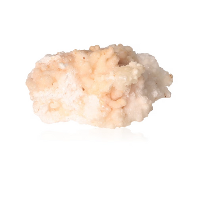 orbitvu|type:ORBITVU 360|https://orbitvu.co/share/GX59fuaP6GTevvsWJrbjqV/6377838/360/iframe