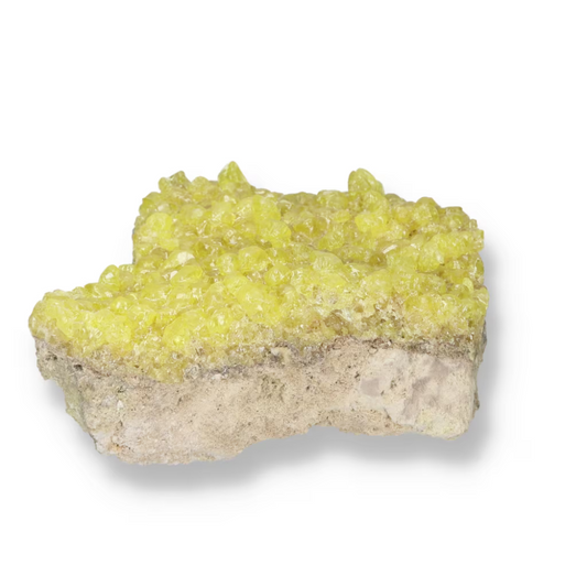 orbitvu|type:ORBITVU 360|https://orbitvu.co/share/z4WRUkve2fHuTp8DtS3j8Y/6487295/360/iframe