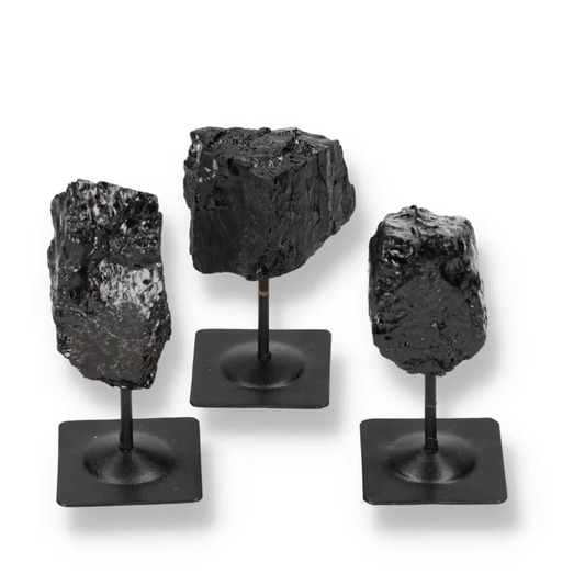 orbitvu|type:ORBITVU 360|https://orbitvu.co/share/2HQgYNQqm7yjHStRC3nhm9/6488212/360/iframe