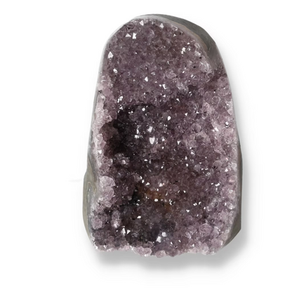 orbitvu|type:ORBITVU 360|https://orbitvu.co/share/nSRaNed9YFYNe9VbRmCMHd/6497089/360/iframe