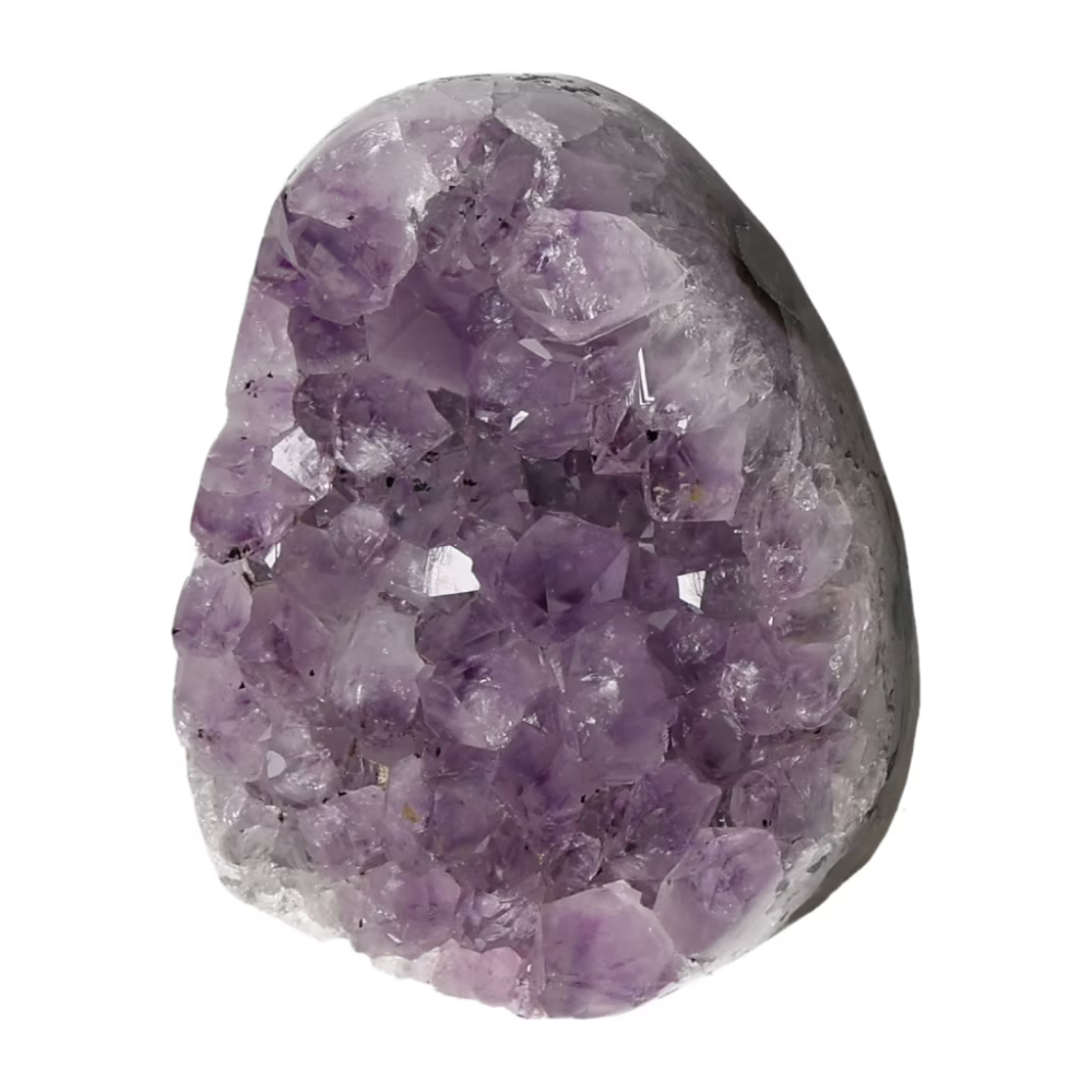 orbitvu|type:ORBITVU 360|https://orbitvu.co/share/4u99ApeJBE7JAjDhJY6H7h/6498894/360/iframe