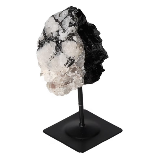 orbitvu|type:ORBITVU 360|https://orbitvu.co/share/4SKMj2gFiMBGtzAof3RNbS/6502918/360/iframe