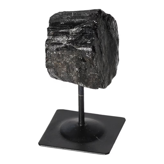 orbitvu|type:ORBITVU 360|https://orbitvu.co/share/xKoURWFXmhZh6hYhZn9nqD/6504171/360/iframe