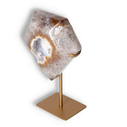 orbitvu|type:image2d