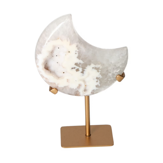 orbitvu|type:ORBITVU 360|https://orbitvu.co/share/mKbQhRMF82kisZvbBVZrj9/6504991/360/iframe