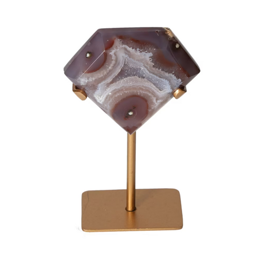orbitvu|type:ORBITVU 360|https://orbitvu.co/share/eyBVgHJrs53uhLp5hNQB4U/6504982/360/iframe