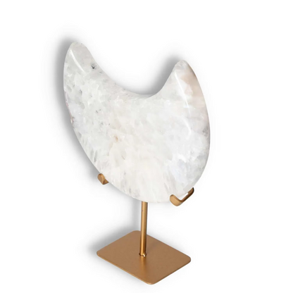 orbitvu|type:image2d