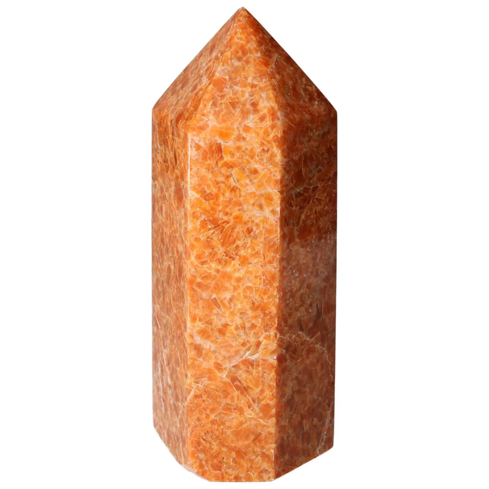 orbitvu|type:image2d