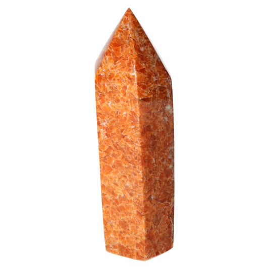 orbitvu|type:ORBITVU 360|https://orbitvu.co/share/3t6GBL3uQn8stMzcekfEjk/6506261/360/iframe