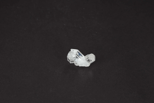 orbitvu|type:image2d