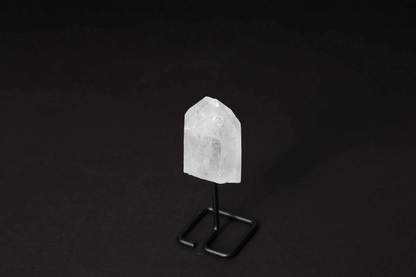 orbitvu|type:image2d