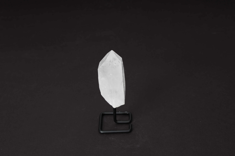 orbitvu|type:image2d