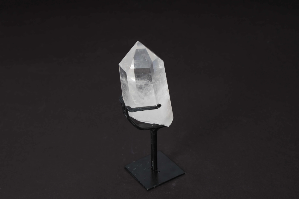orbitvu|type:image2d