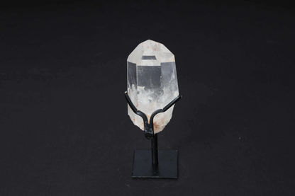 orbitvu|type:image2d