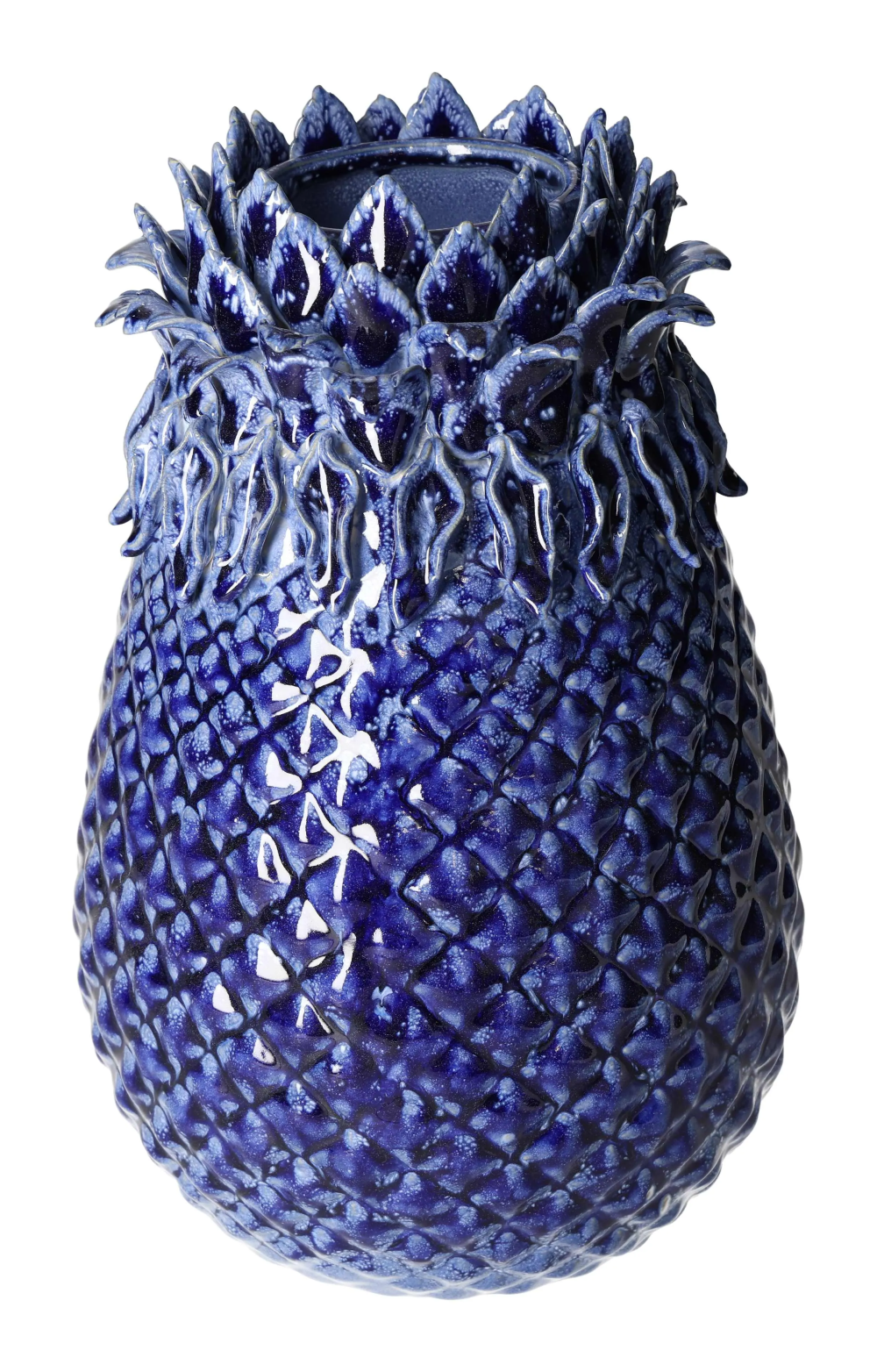 orbitvu|type:image2d