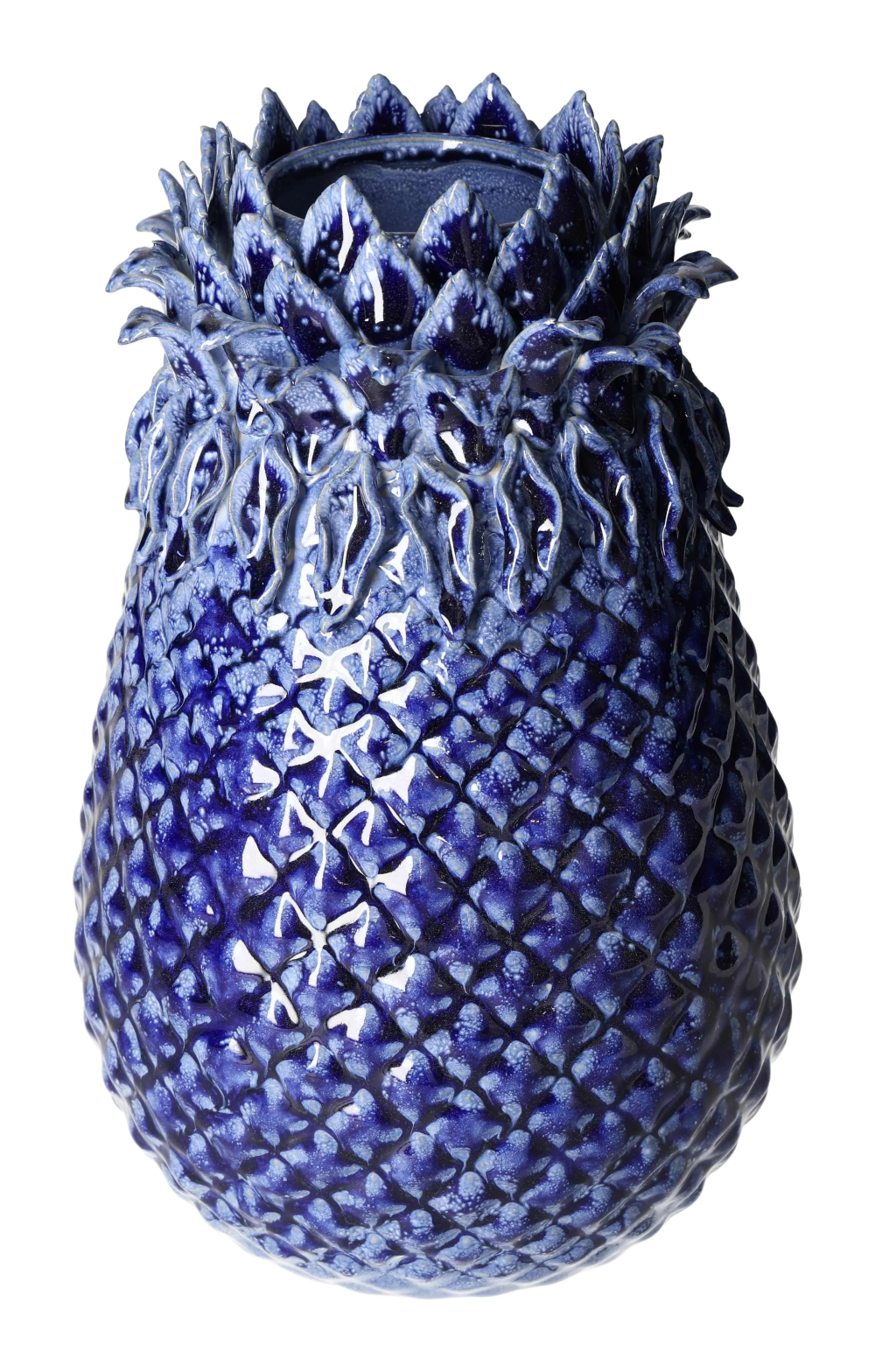 orbitvu|type:image2d