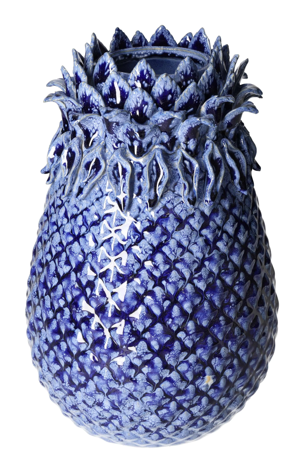 orbitvu|type:image2d