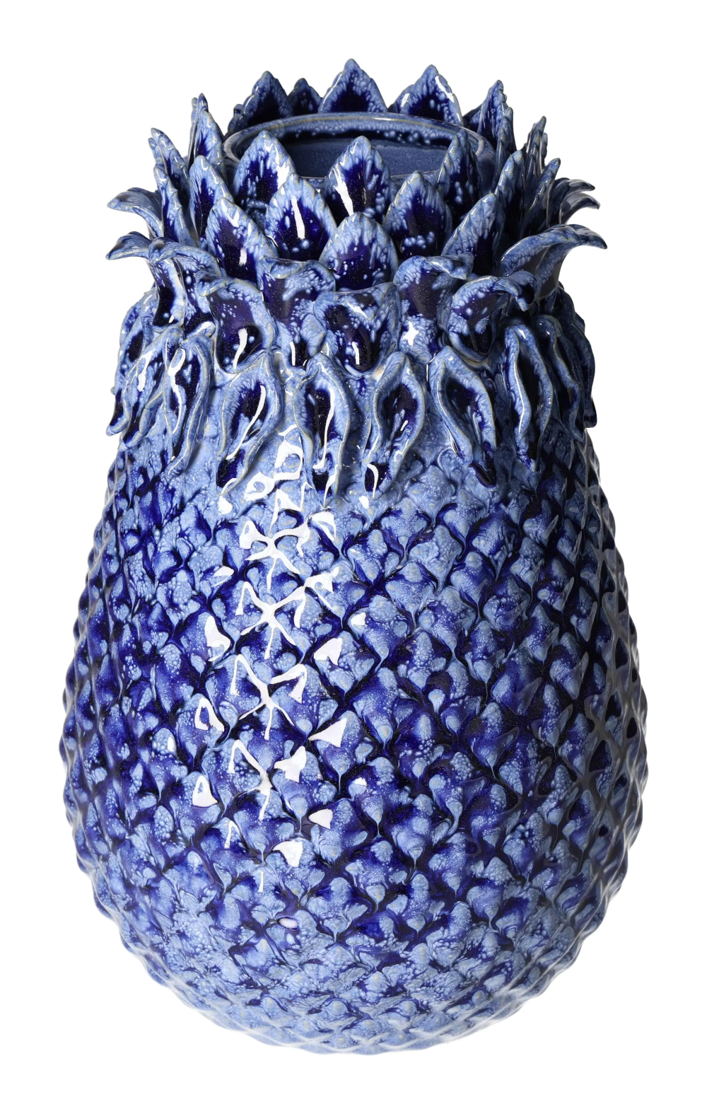 orbitvu|type:image2d
