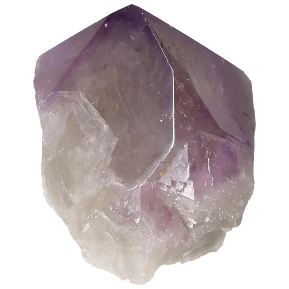 orbitvu|type:image2d