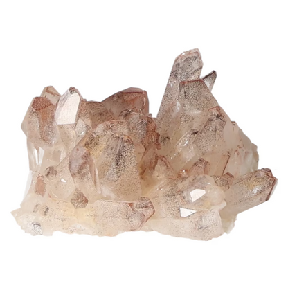 orbitvu|type:ORBITVU 360|https://orbitvu.co/share/c7za8SaLq8MZmgarg9pU5S/6529493/360/iframe