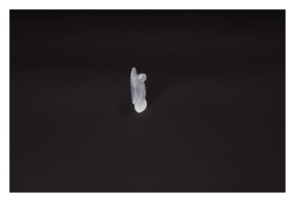 orbitvu|type:image2d