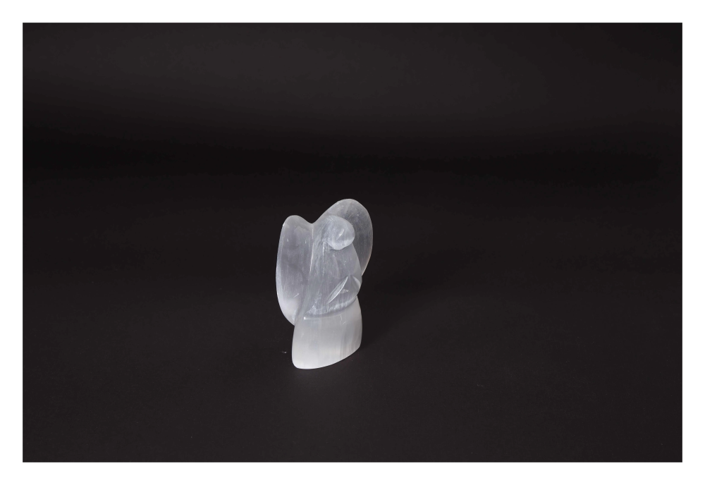 orbitvu|type:image2d