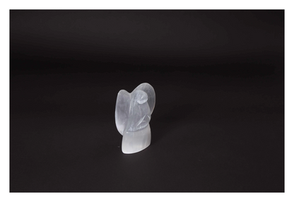 orbitvu|type:image2d