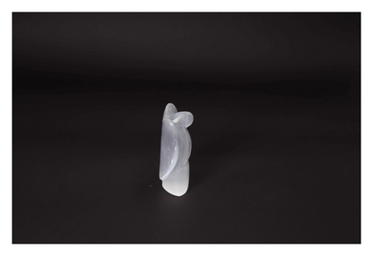 orbitvu|type:image2d