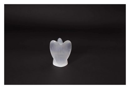 orbitvu|type:image2d