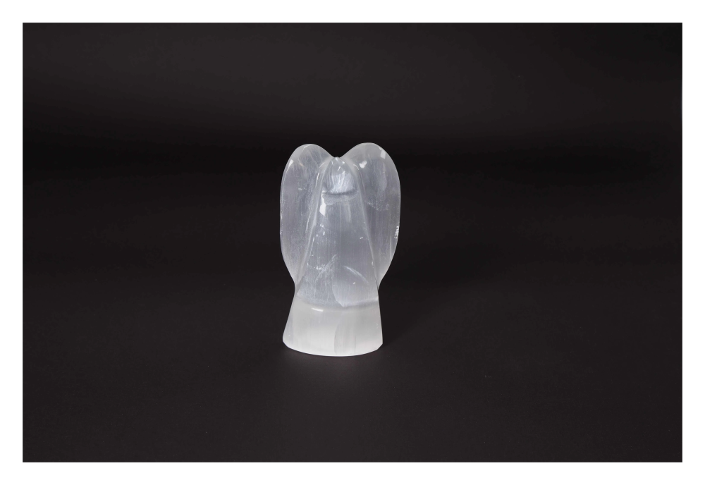 orbitvu|type:image2d