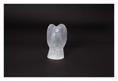 orbitvu|type:image2d