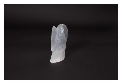 orbitvu|type:image2d