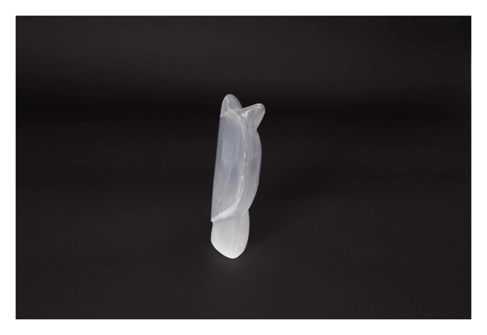 orbitvu|type:image2d