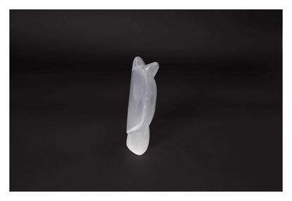 orbitvu|type:image2d