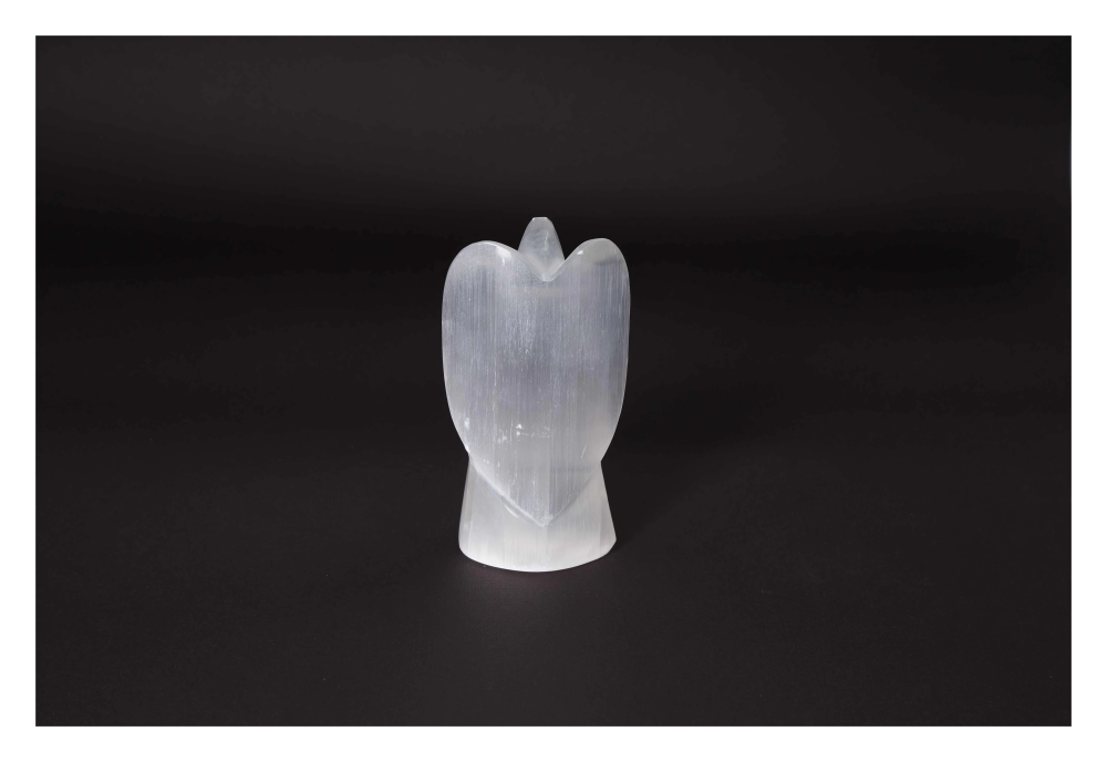 orbitvu|type:image2d