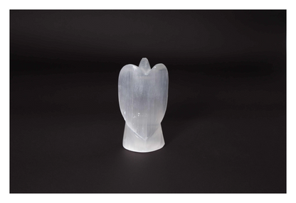 orbitvu|type:image2d