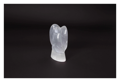 orbitvu|type:image2d