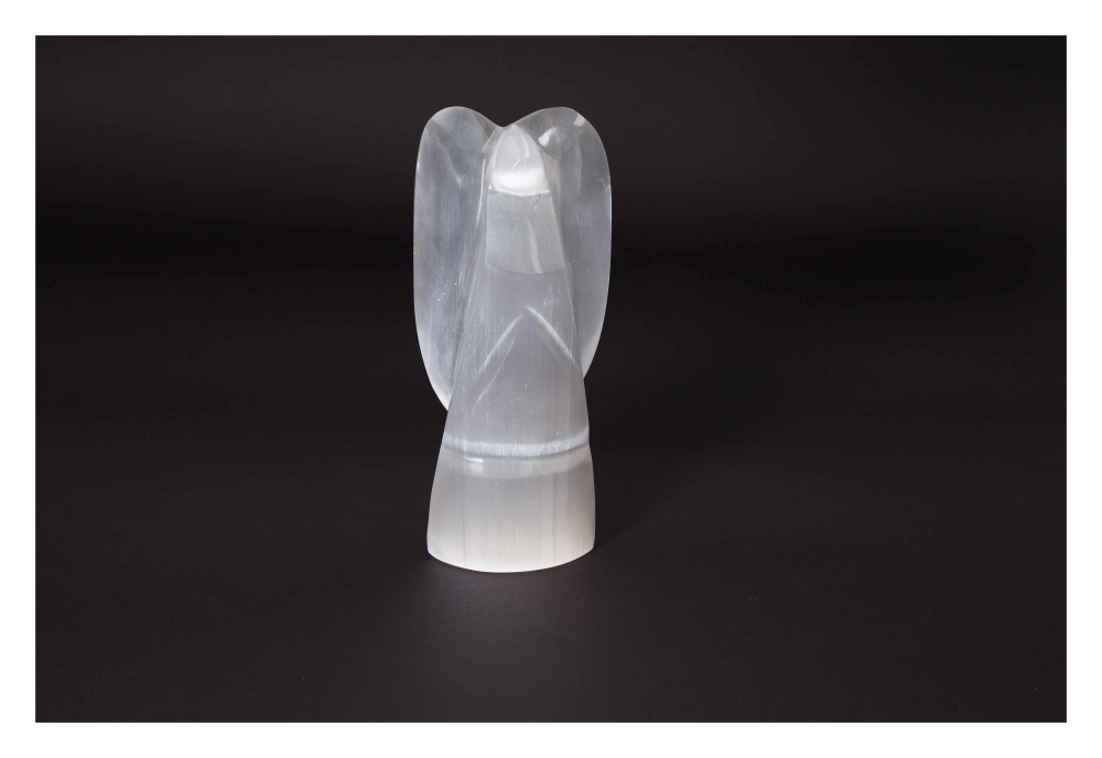 orbitvu|type:image2d